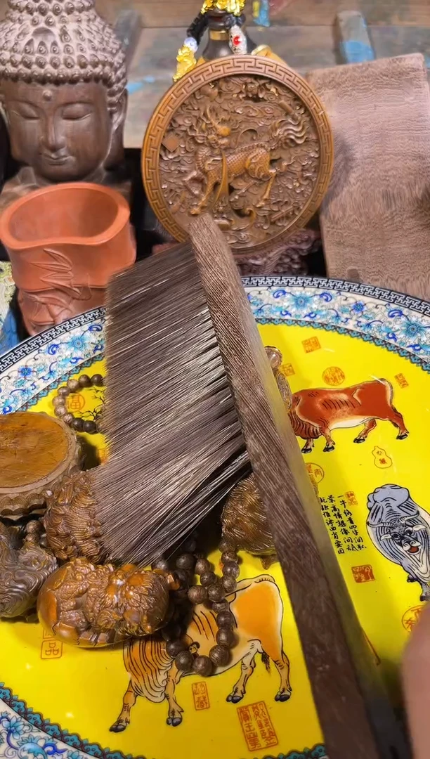 黄杨木1111111111111111