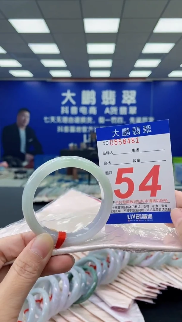 未镶嵌手镯翡翠AAAAAAAAAA