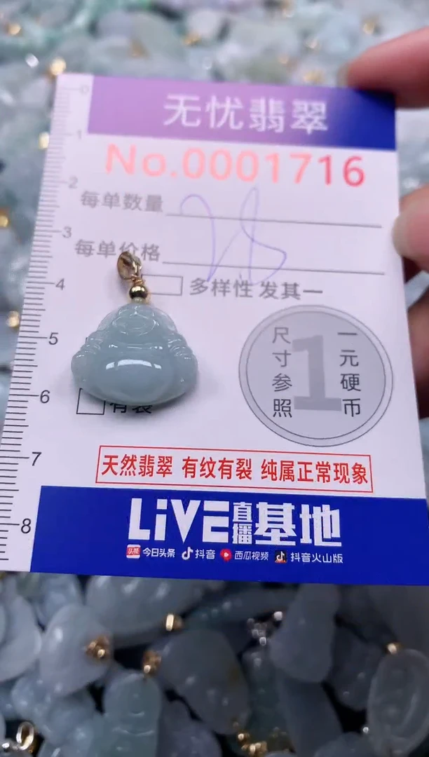 颈饰未镶嵌翡翠1716