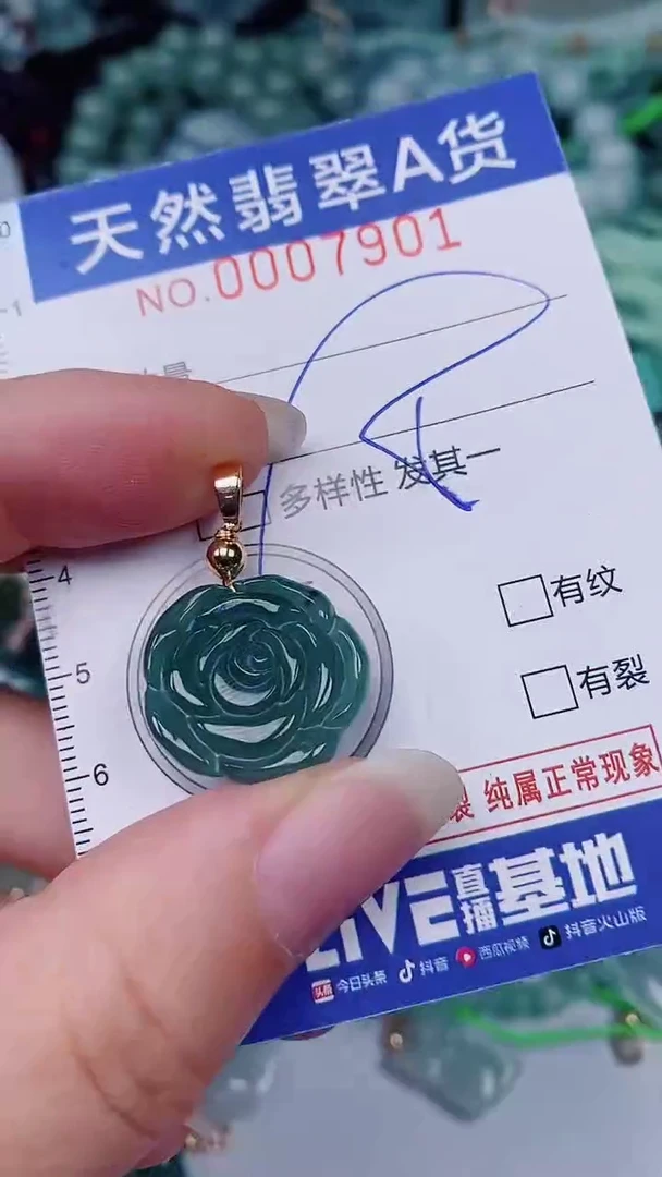 翡翠未镶嵌颈饰00007901