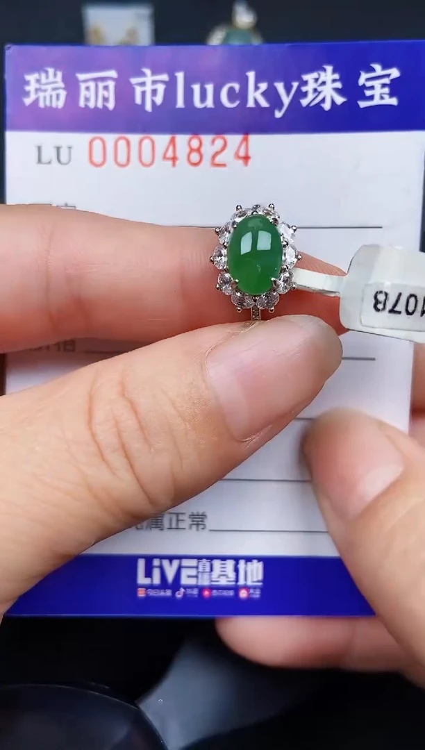 翡翠银S925镶嵌颈饰4824