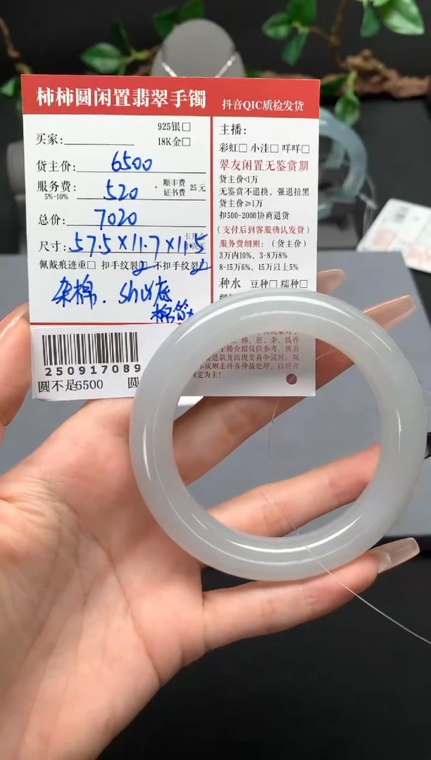 未镶嵌手镯翡翠姐姐250917089