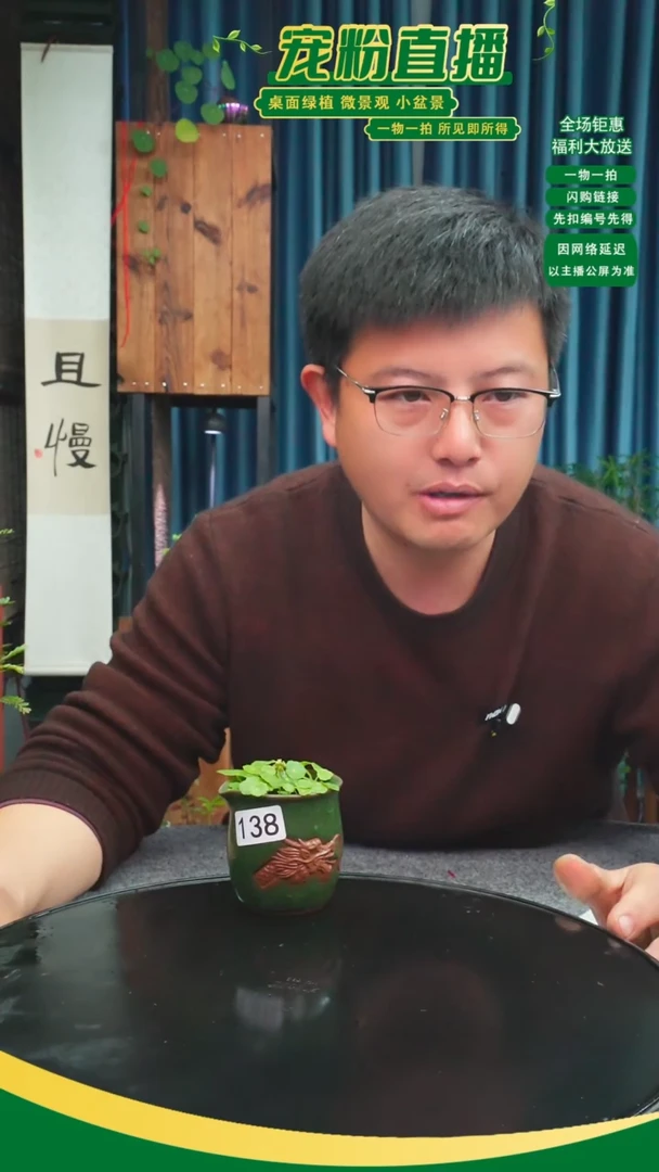 无花朵✨****✨苔藓微景观138号