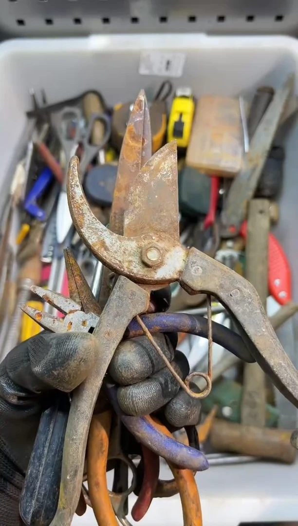 铁听**虫阿古工具工具工具