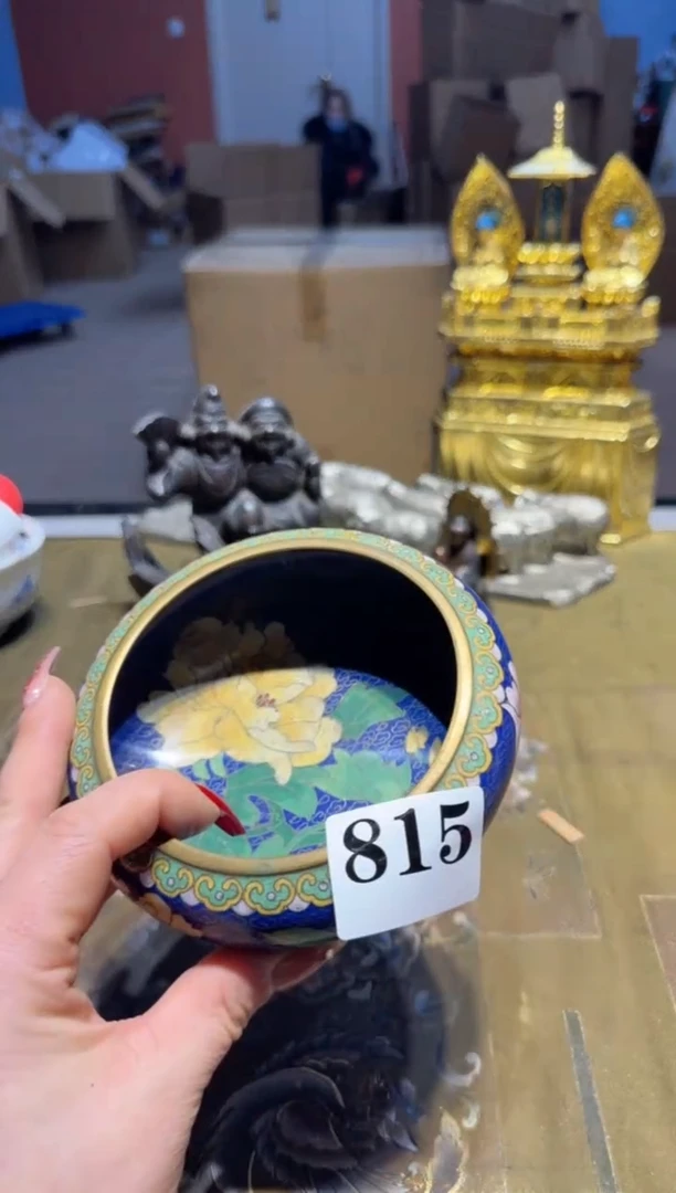 【闪购商品】瓷片815中古回流孤品一件