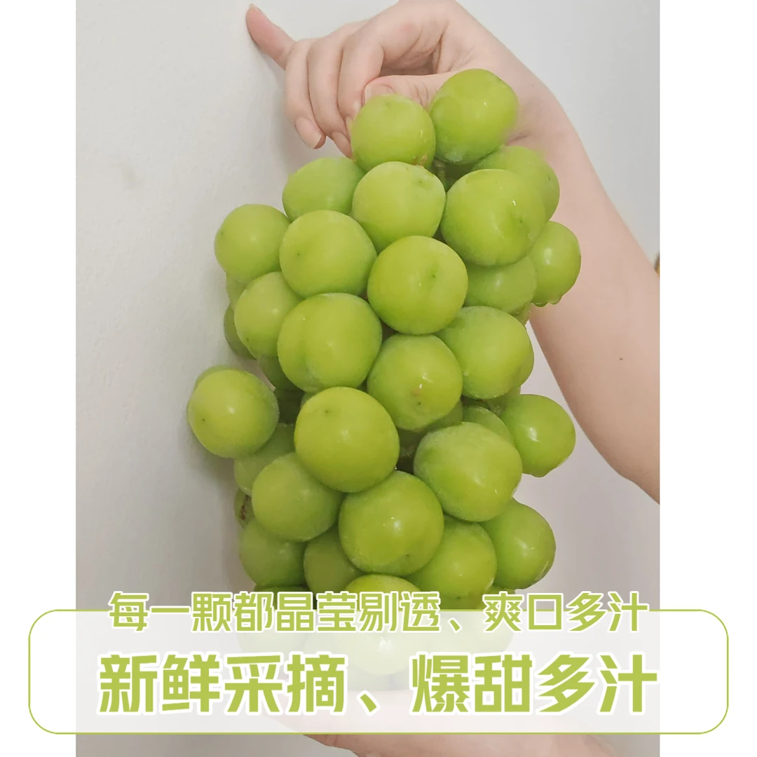 特大视频可以阳光玫瑰香印晴王葡萄应季水果无籽新鲜爆甜多汁