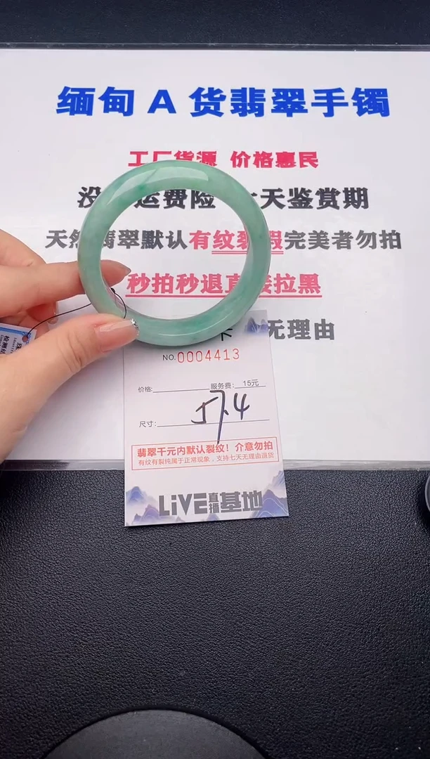 未镶嵌手镯翡翠13