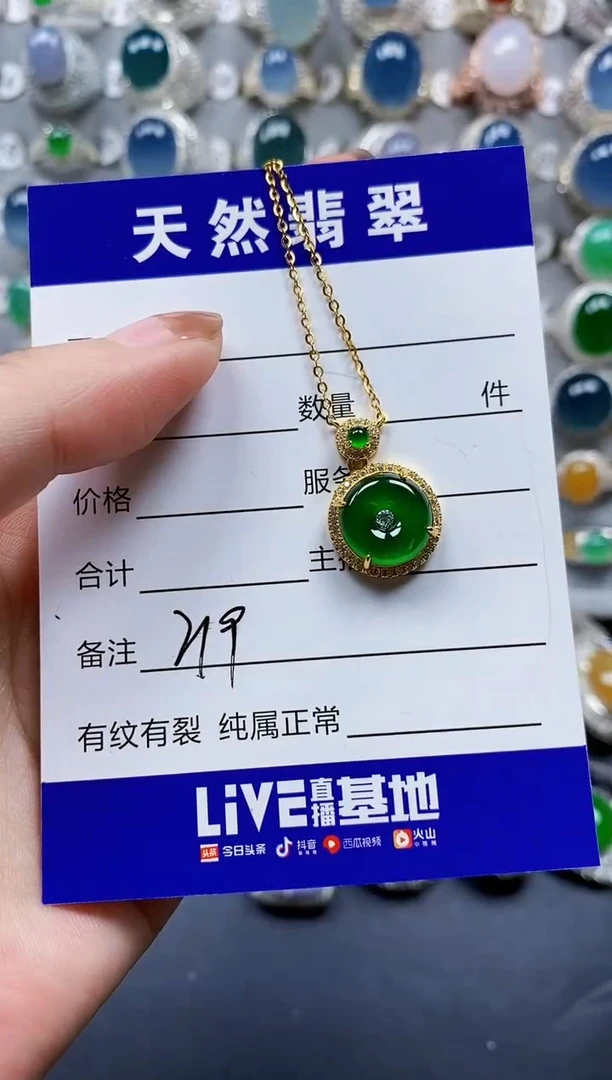 翡翠银S925镶嵌颈饰0219