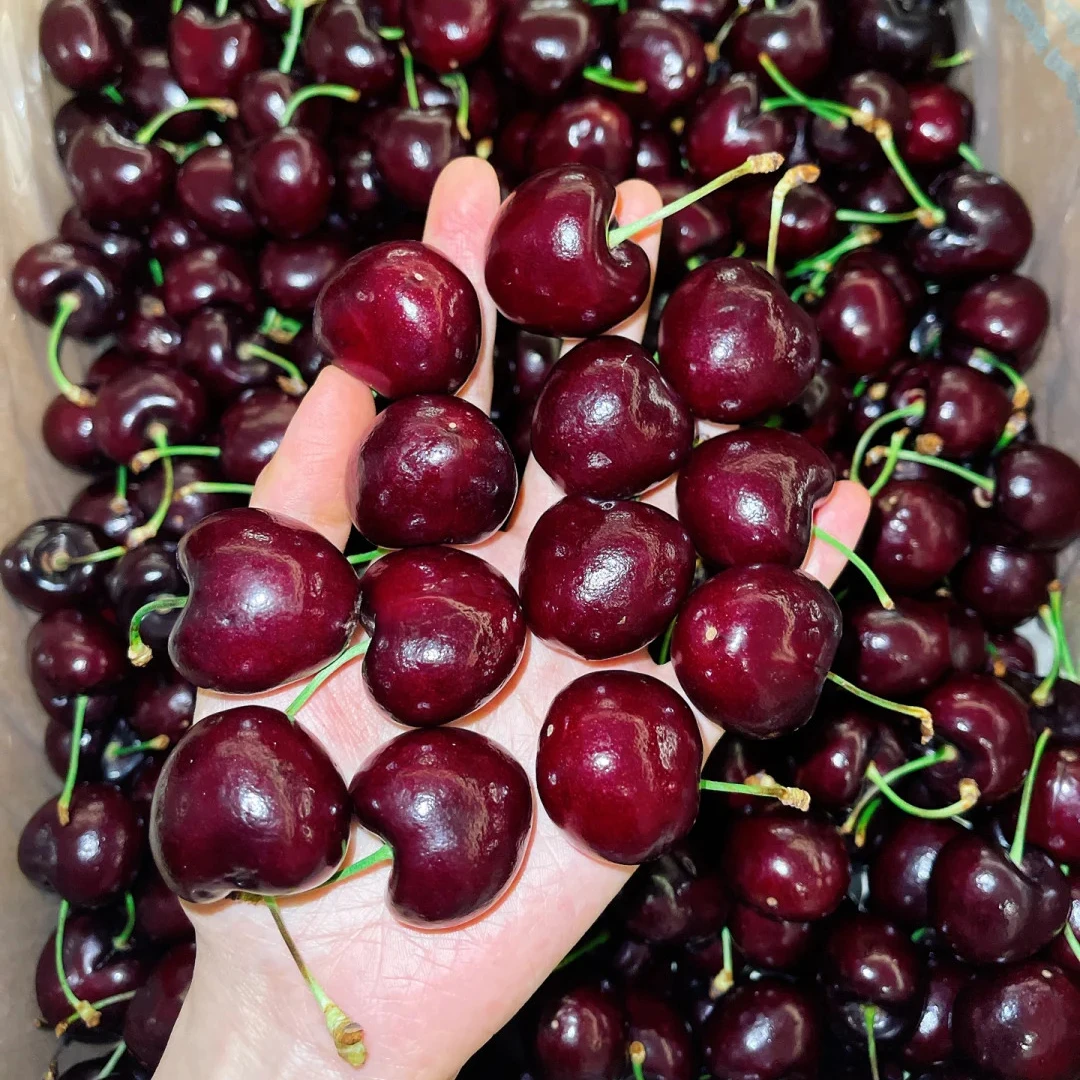 3JJ车厘子【1盒净重2斤】30分钟送到家