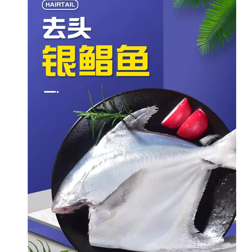 银鲳鱼去头去内脏海捕刺少肉嫩冷鲜速冻锁鲜海鱼昌鱼炸鱼