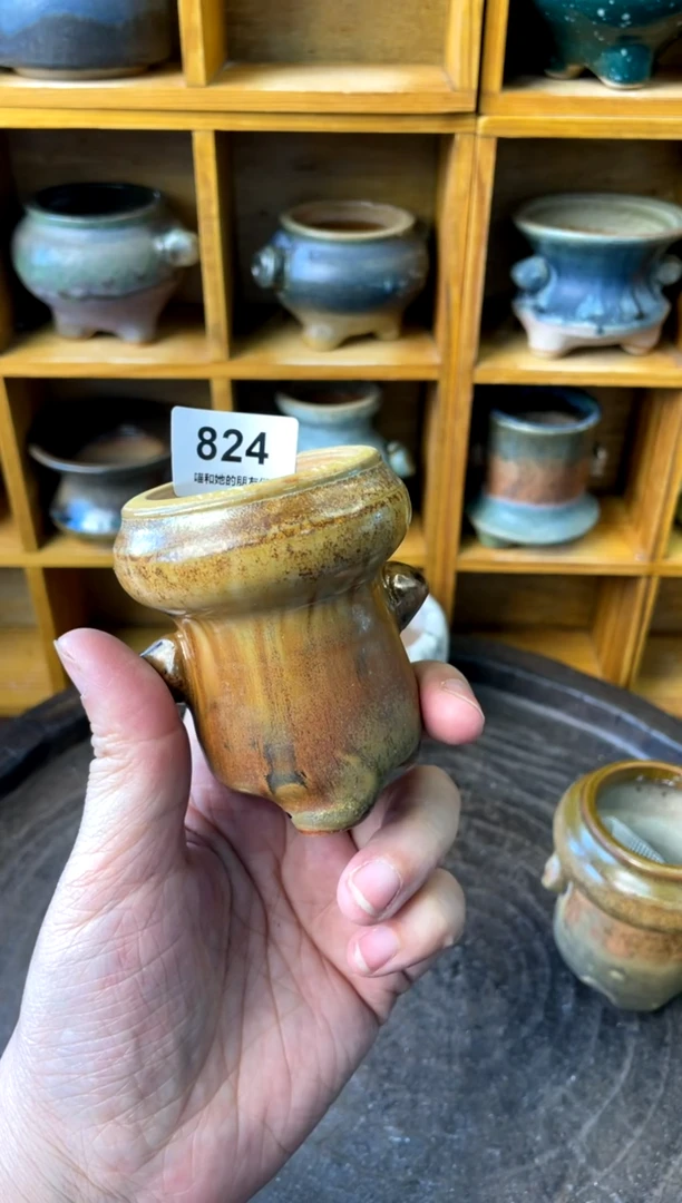 【闪购商品】陶824