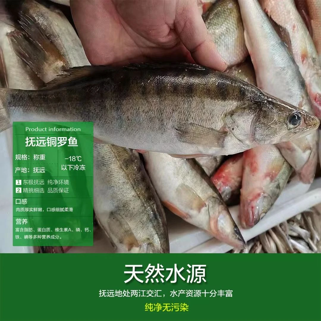 黑龙江乌苏里江打捞冷水淡水鱼铜锣鱼