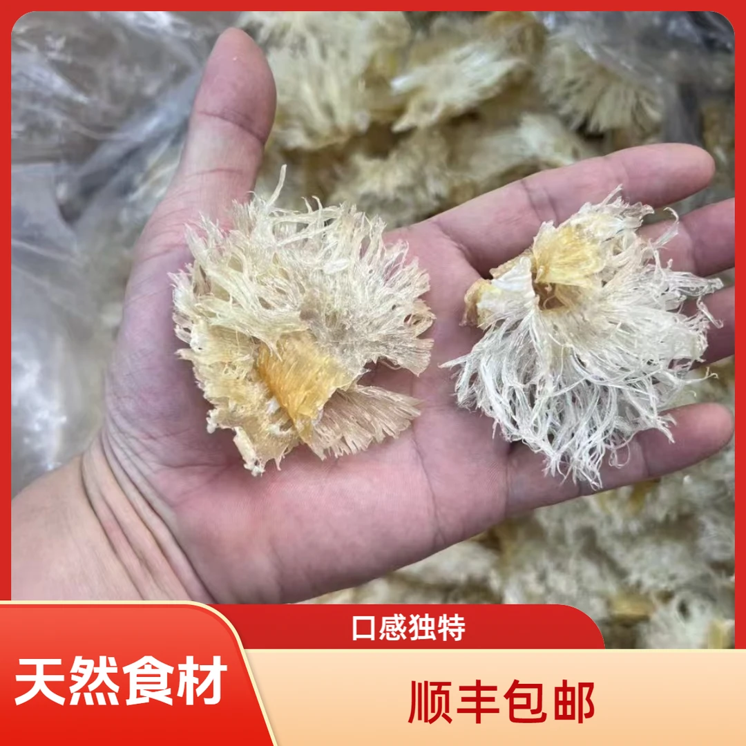 【飞飞精选】小号菊花刺/深海 -胶
