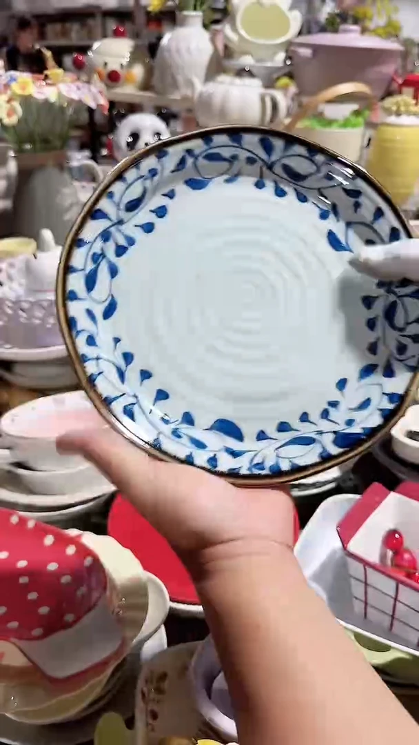 碗10英寸大盘 微瑕凑满20元包邮