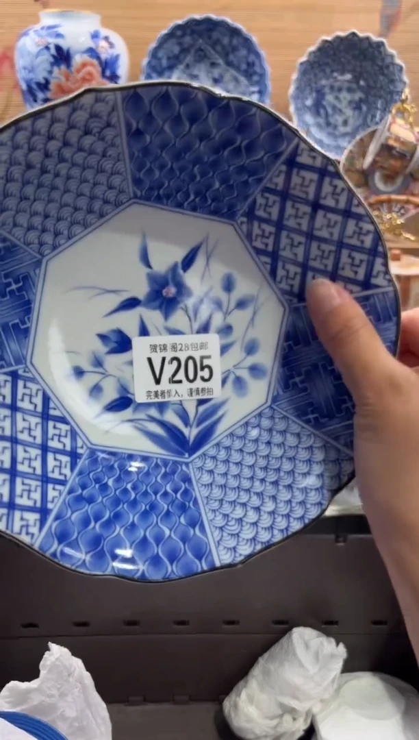 瓷片萤***虫       V205