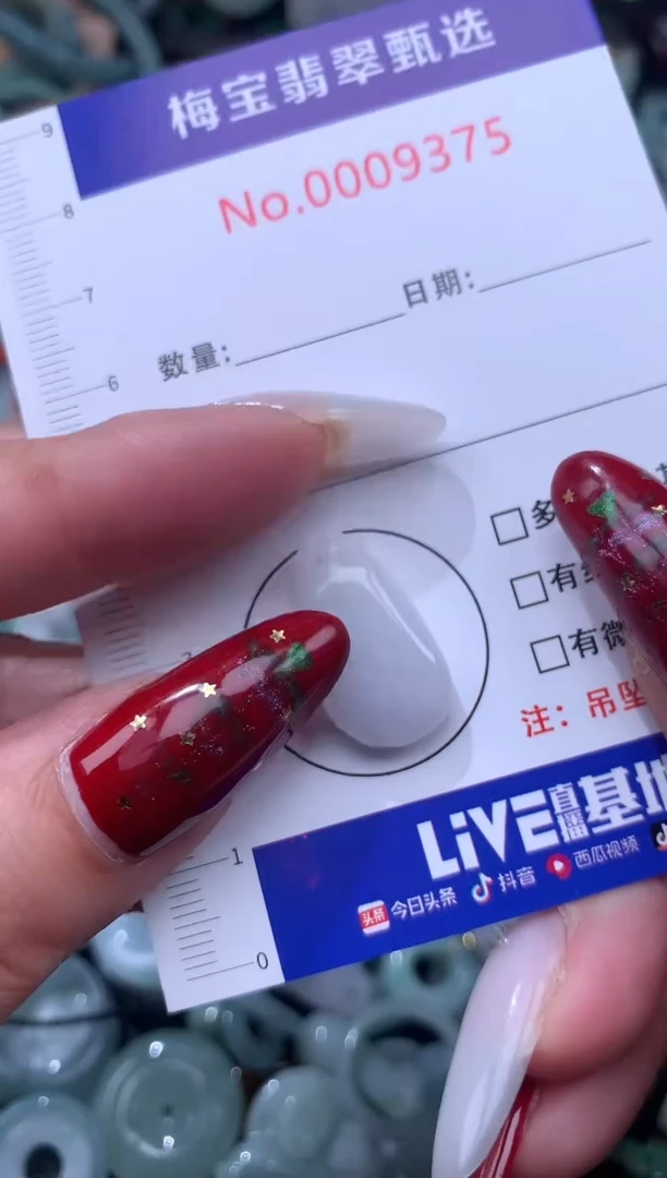 颈饰未镶嵌翡翠10块 翡翠A货 多样性发其一