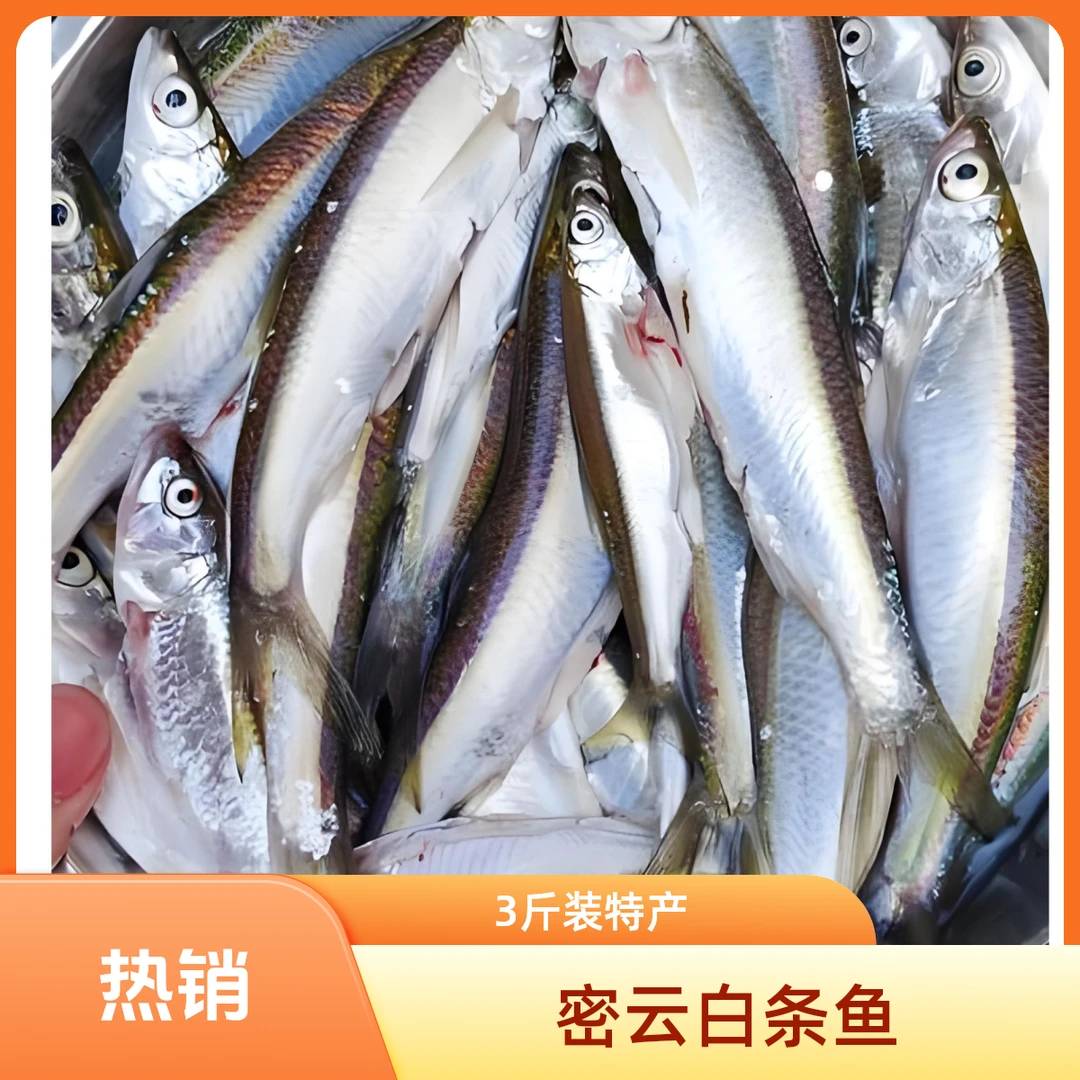 北京密云当地水库特产野生白条鱼 500g一盘鲜鱼