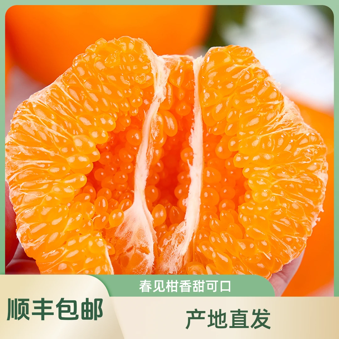 顺丰包邮正宗四川春见耙耙柑粑粑柑橘子甜新鲜应季水果甜丑桔现摘