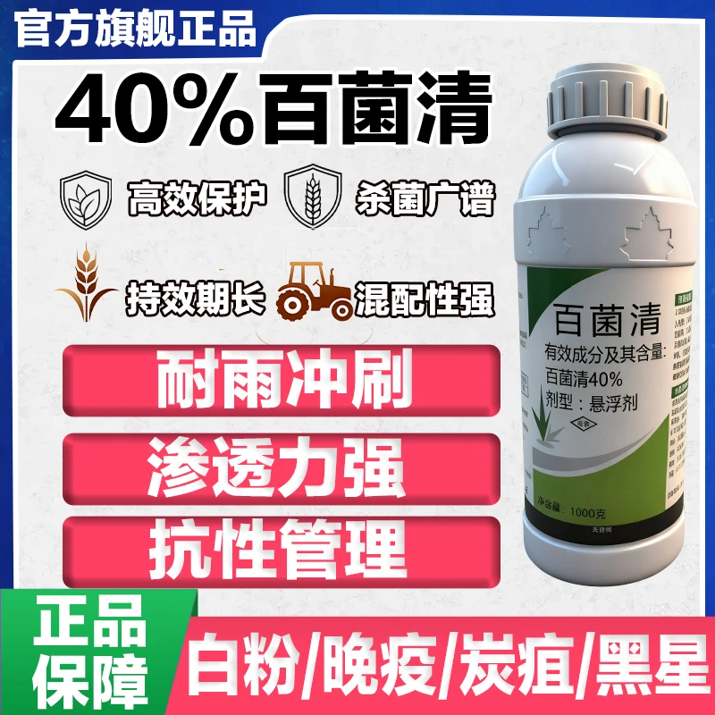 40%百菌清霜霉炭疽大小斑病锈病真菌柑橘黄瓜番茄作物杀菌剂