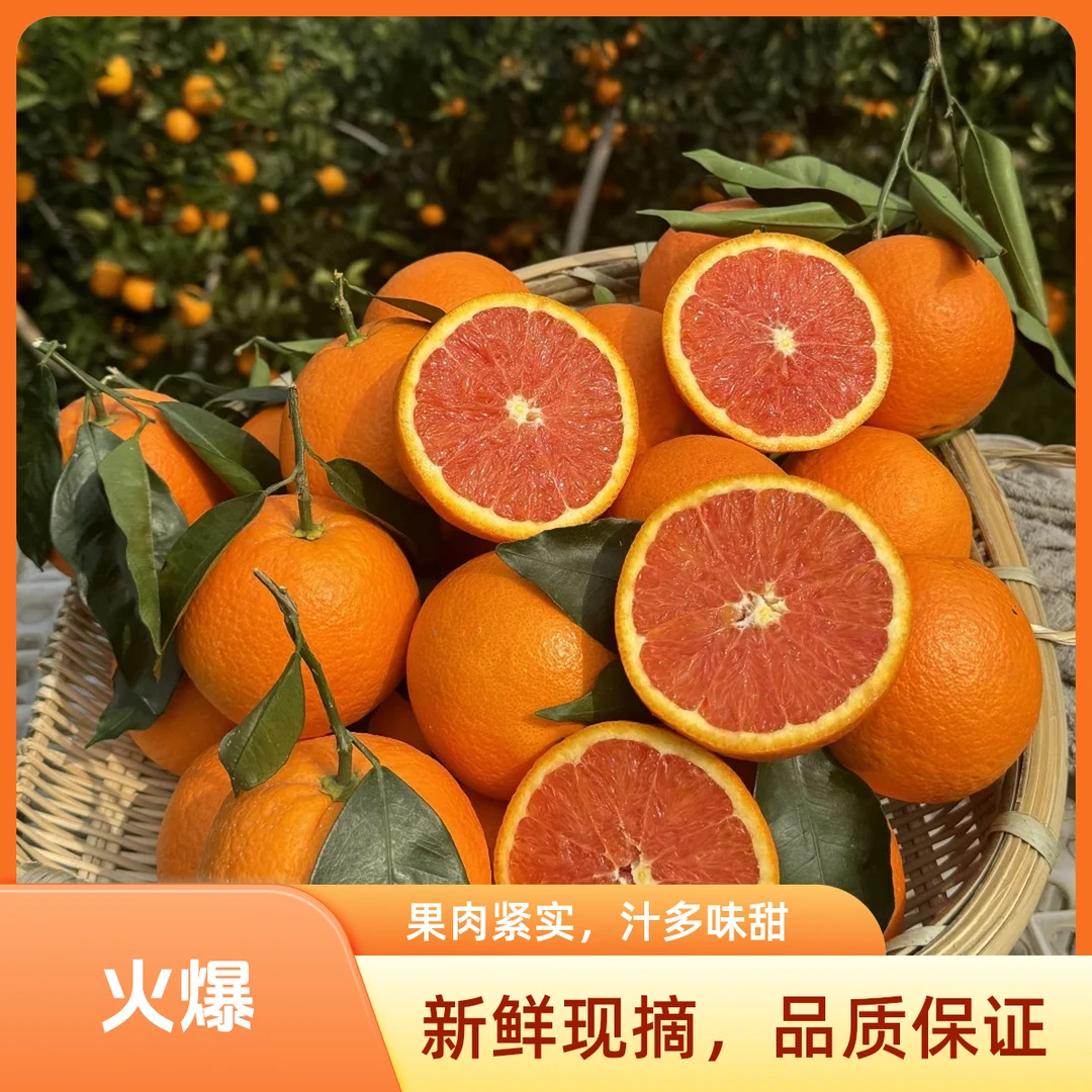 卡拉卡红橙 净重3斤红橙