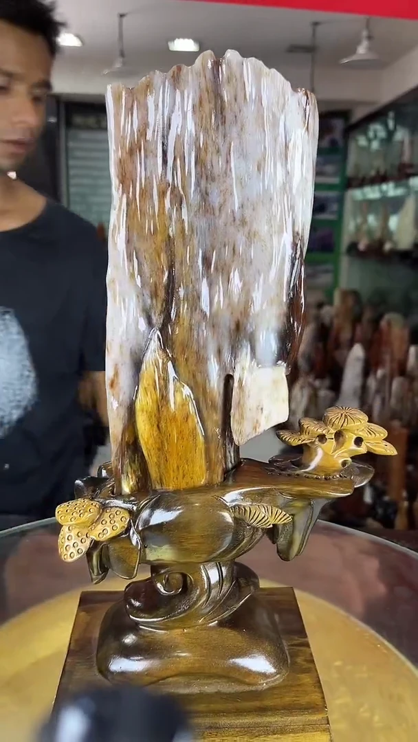 未镶嵌珠宝奇石硅化玉缅甸天然树化玉摆件