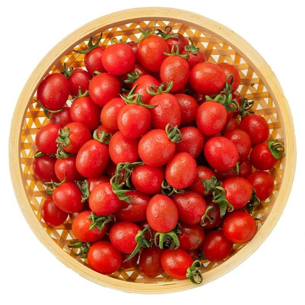 千禧小西红柿 500g