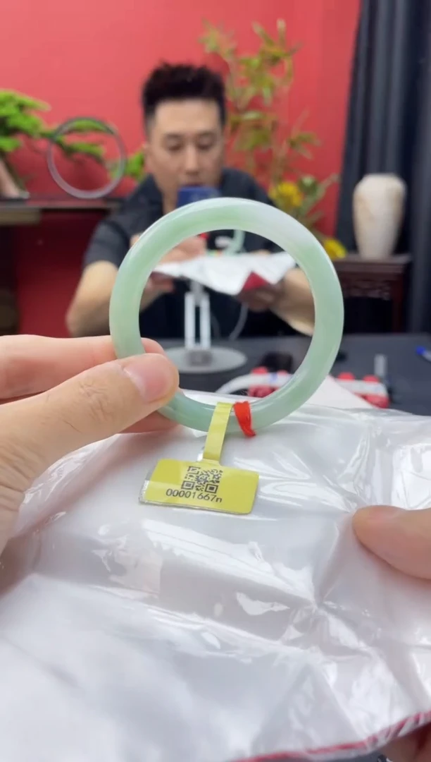 未镶嵌手镯翡翠6