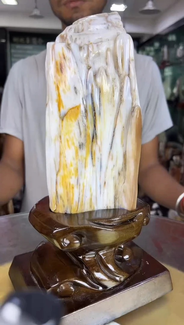 未镶嵌珠宝奇石硅化玉缅甸天然树化玉摆件