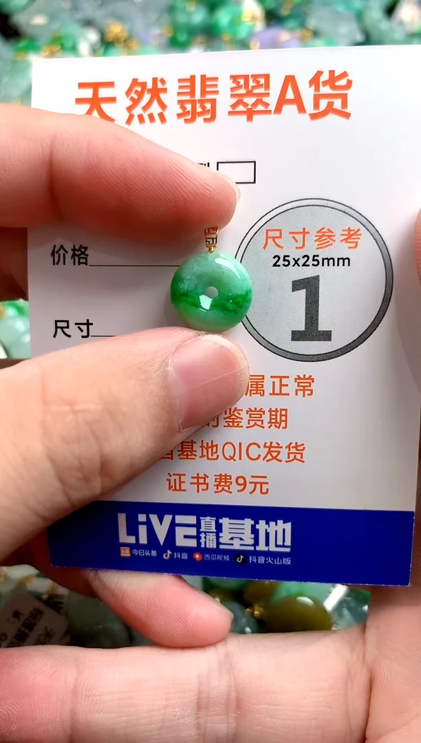 颈饰未镶嵌翡翠26100054