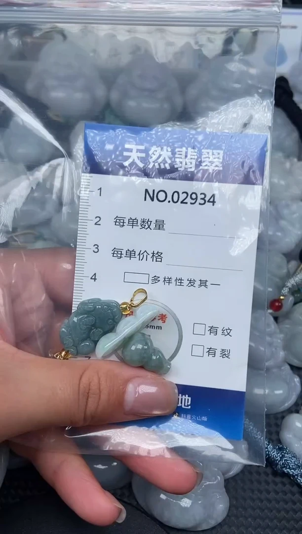 颈饰未镶嵌翡翠纯天然A货翡翠2934