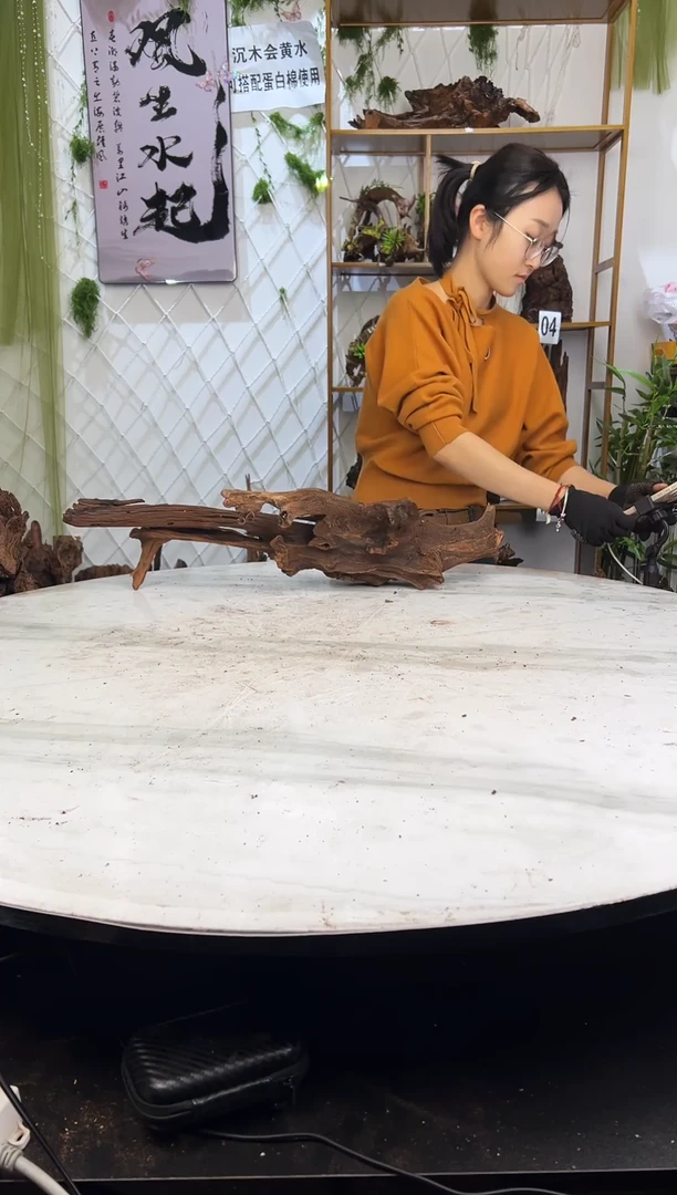 紫柚木沉木造景，会黄水，部分需泡沉