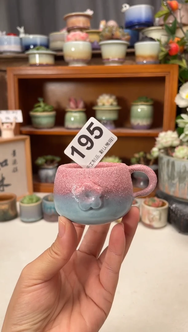 瓷片195知木小芳花盆直播编号