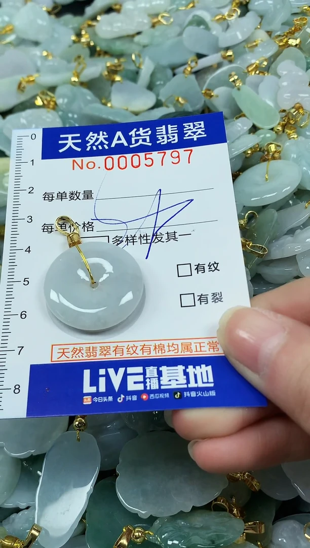 颈饰未镶嵌翡翠纯天然a货翡翠