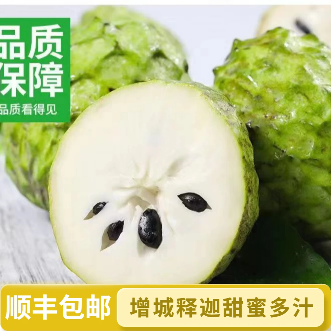 顺丰包邮广东增城凤梨释迦果新鲜水果牛奶番荔枝软糯香甜大果现摘