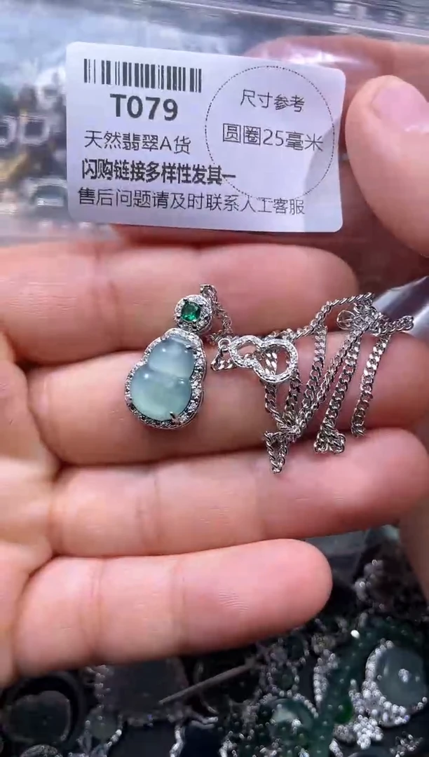 【闪购商品】翡翠颈饰未镶嵌T079项链