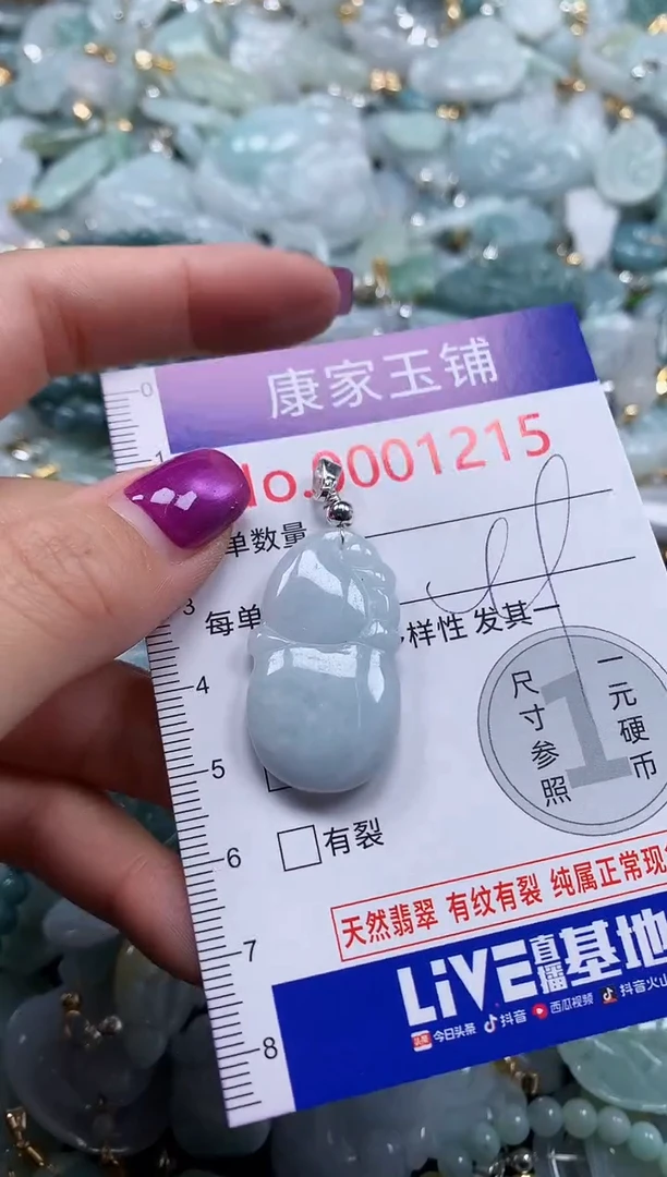 颈饰未镶嵌翡翠1215