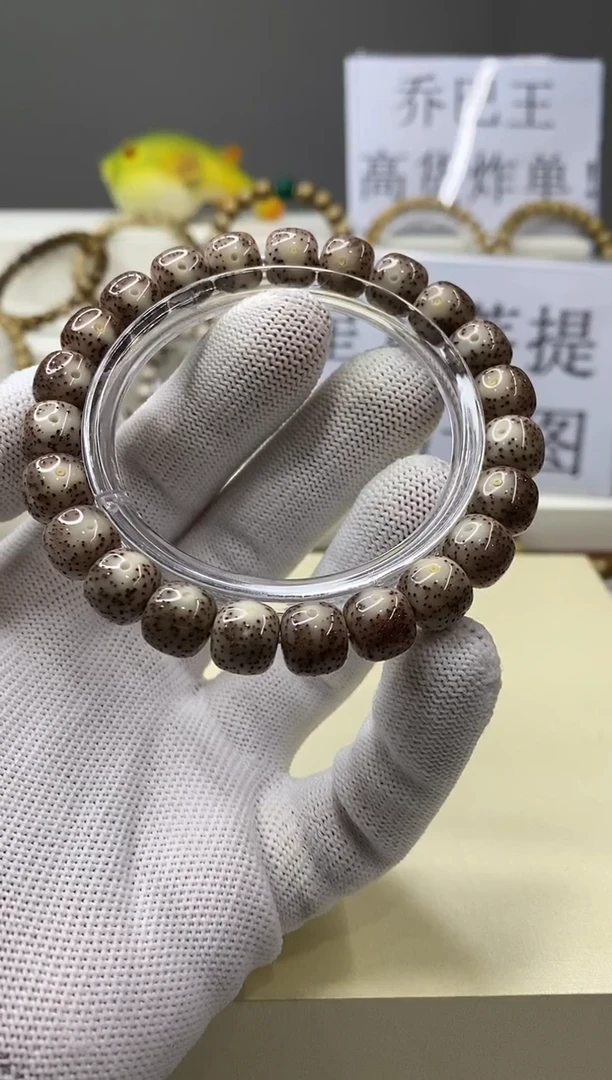 手串星月菩提一物一图-W46-173