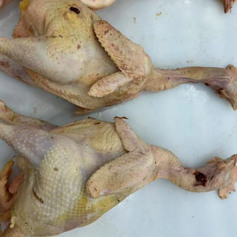 小郑牦牛肉甄选 高原老母鸡 煲汤