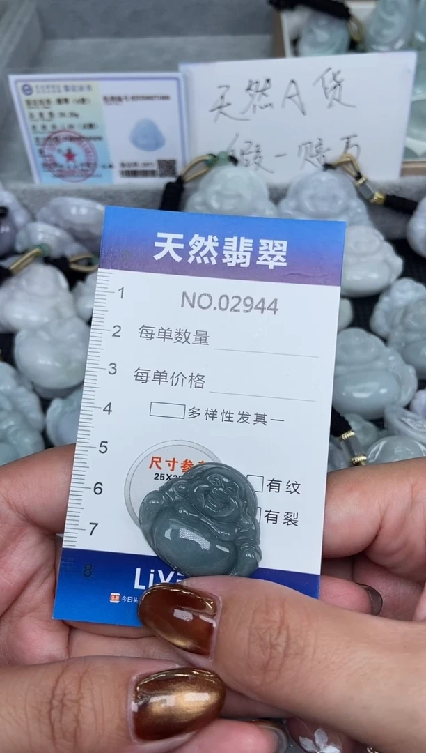 颈饰未镶嵌翡翠纯天然A货翡翠2944