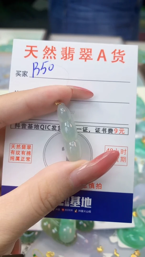 颈饰银S925镶嵌翡翠天然A货翡翠挂件
