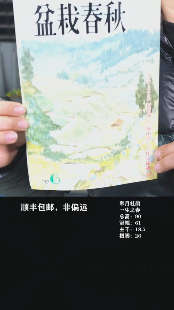 【闪购商品】-盆栽春秋926