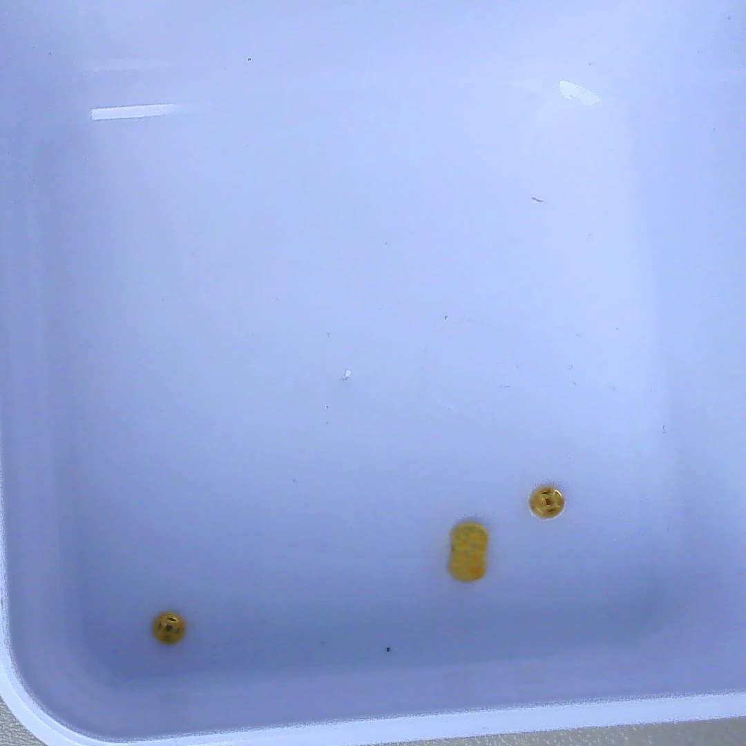 黄金足金小金 豆