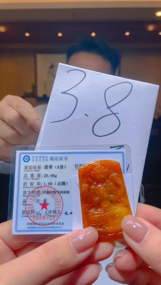 【闪购商品】翡翠颈饰未镶嵌闪购链接LPW001