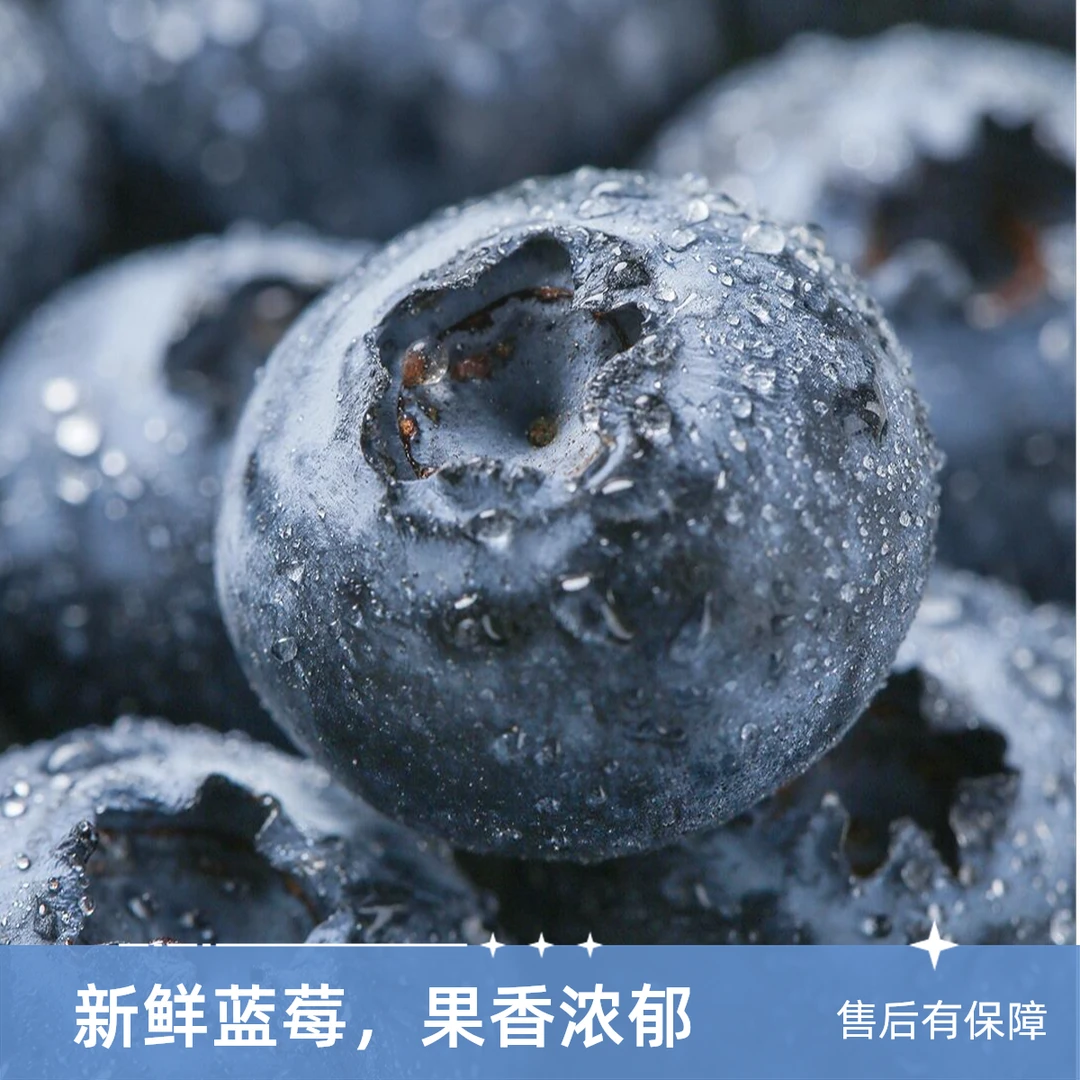 云南L25花香蓝莓顺丰空运水果花香脆甜口感100%天然雪山蓝莓