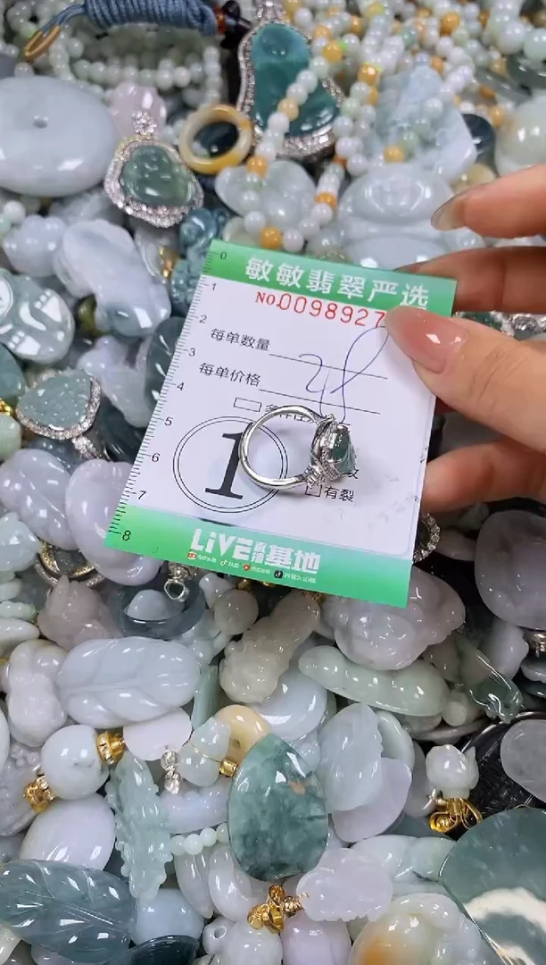 【闪购商品】翡翠颈饰未镶嵌闪购0098927