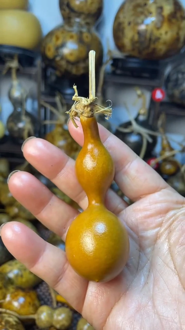 【闪购商品】葫芦葫芦葫芦葫芦葫芦