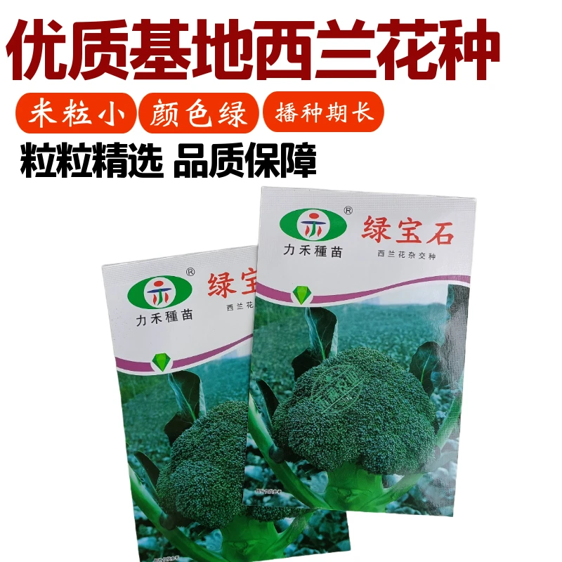 【力禾种苗】绿宝石西兰花种子耐寒耐湿绿菜花种基地优选西兰花种籽