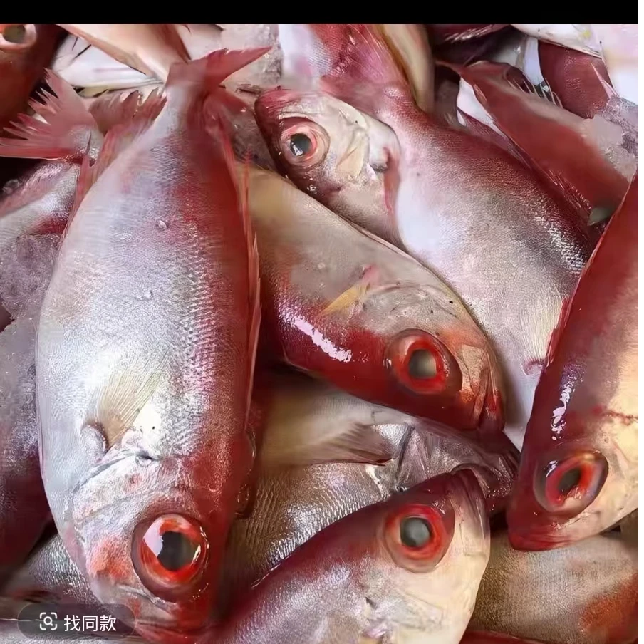 514生鲜 本港红目连 3斤装 2-3条一斤