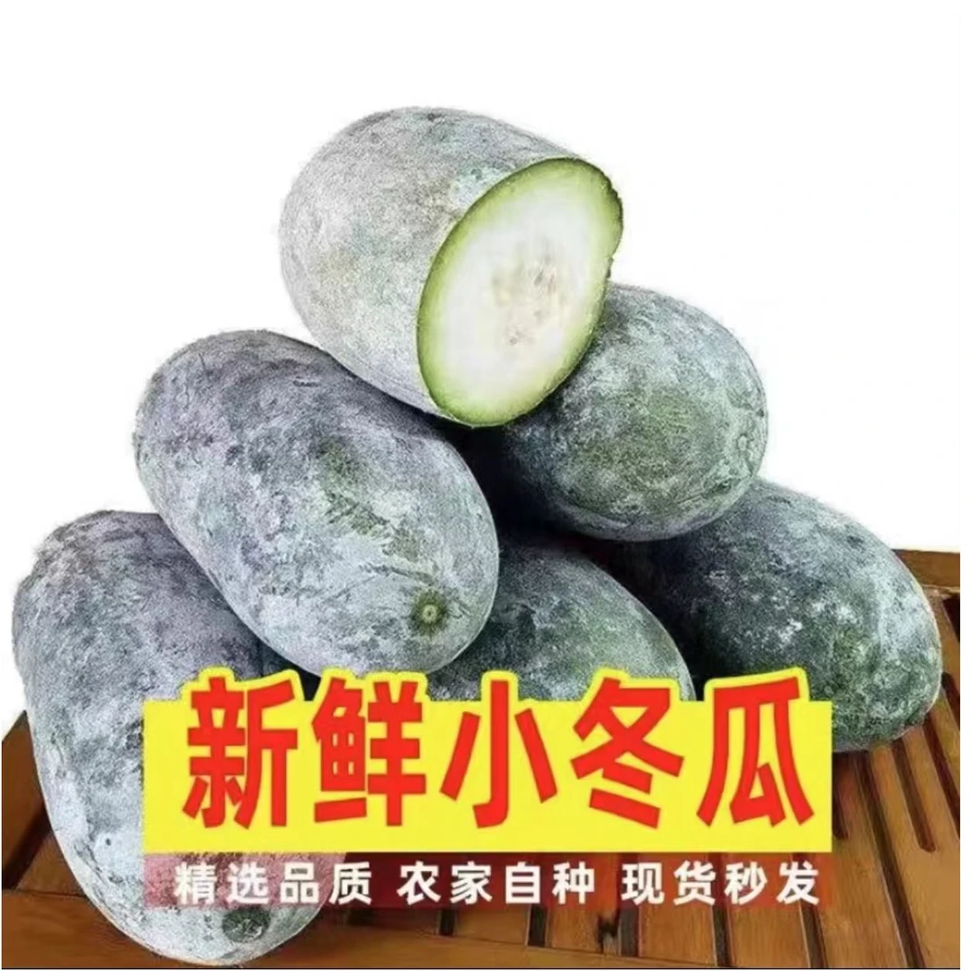 【现摘现发】露天种植水果小冬瓜迷你冬瓜新鲜采摘小冬瓜5/9斤