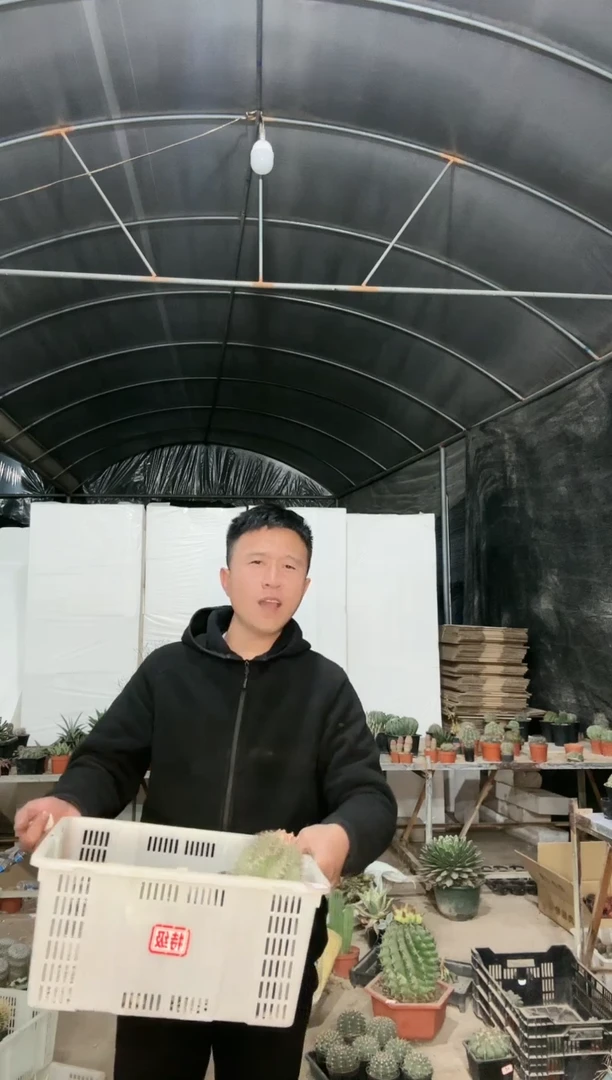 【闪购商品】筐拍 11号